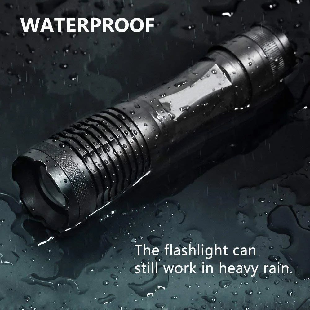 2-in-1 UV Flashlight | Rechargeable Zoomable LED Blacklight Torch for Pet Urine & Stain Detection