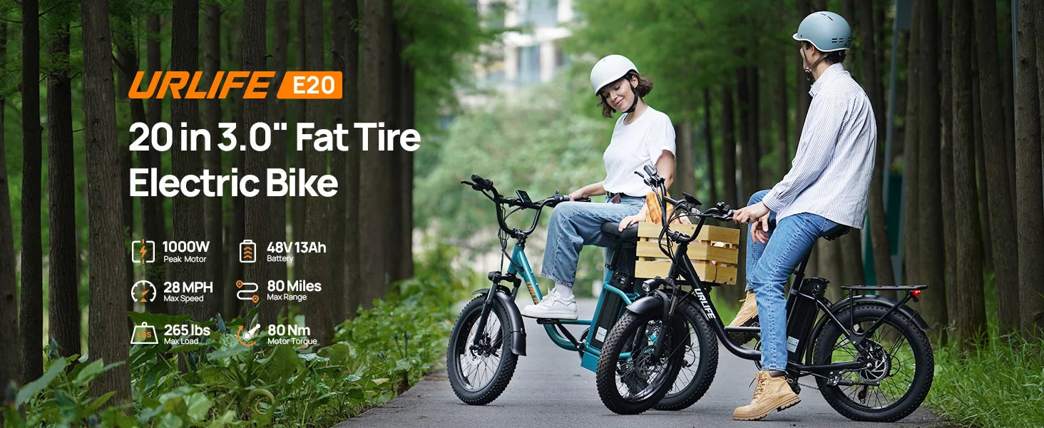 1000W E20 Electric Bike 48V 13Ah Battery 20" Fat Tire 7-Speed Dual Disc Brake