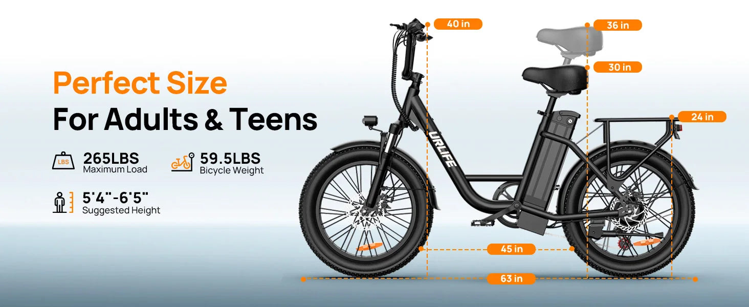 1000W E20 Electric Bike 48V 13Ah Removable Battery 20"x3" Fat Tire 7-Speed