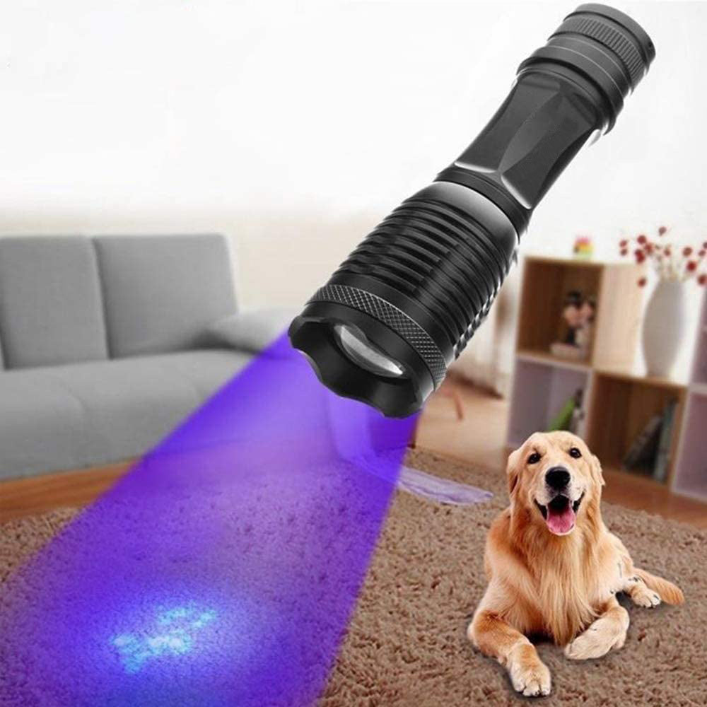 2-in-1 UV Flashlight | Rechargeable Zoomable LED Blacklight Torch for Pet Urine & Stain Detection